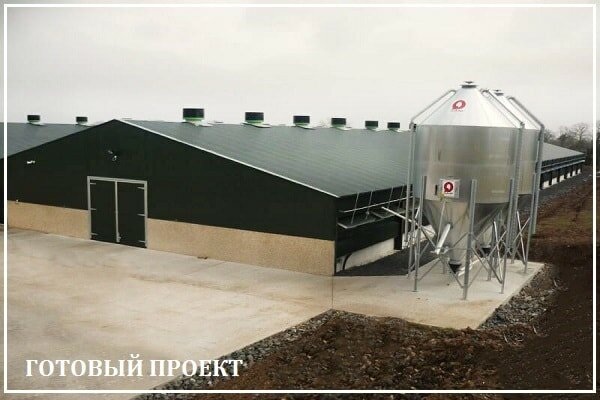 Этапы возведения птицефабрики от завода ВелесТент-нвл